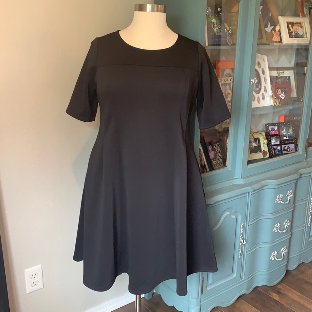 Torrid Skater Dress